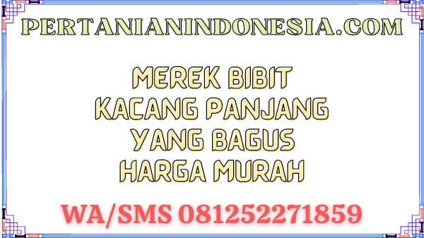 Merek Bibit Kacang Panjang Yang Bagus Harga Murah